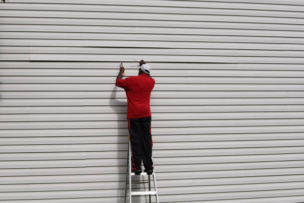 Best Vinyl Siding Installation  in Harriman, TN