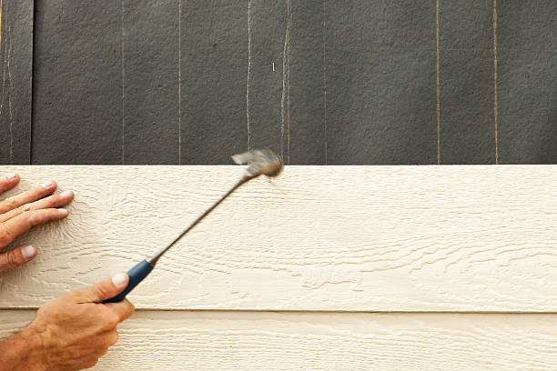 Best Siding Painting and Refinishing  in Harriman, TN